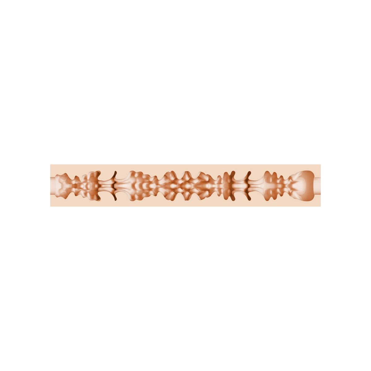 Masturbator Fleshlight